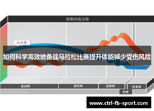 如何科学高效地备战马拉松比赛提升体能减少受伤风险