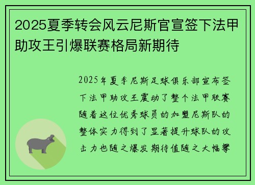 2025夏季转会风云尼斯官宣签下法甲助攻王引爆联赛格局新期待 2025夏季转会风云尼斯官宣签下法甲助攻王引爆联赛格局新期待
