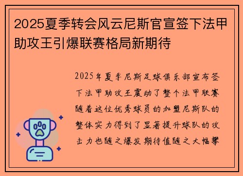 2025夏季转会风云尼斯官宣签下法甲助攻王引爆联赛格局新期待